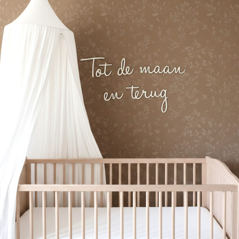 Tot de maan en terug