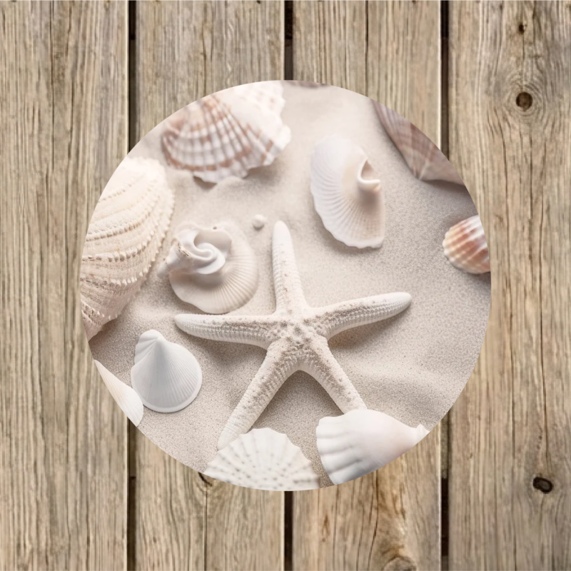 Tuincirkel Schelpen 30 cm