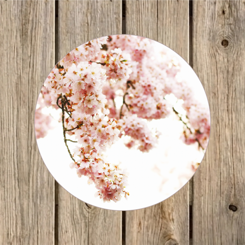Tuincirkel bloesem 30 cm